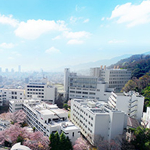 大学PV 2018春
