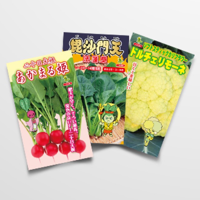種袋デザイン