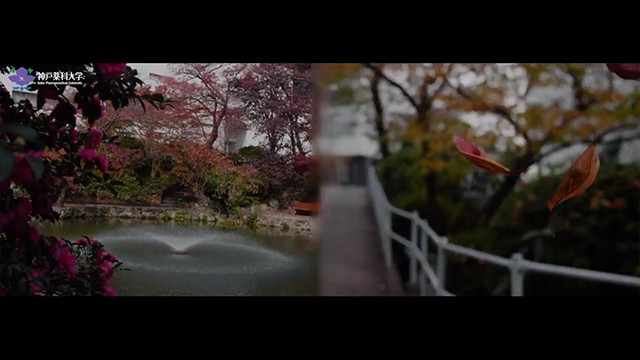 神戸薬科大学 プロモーションビデオ