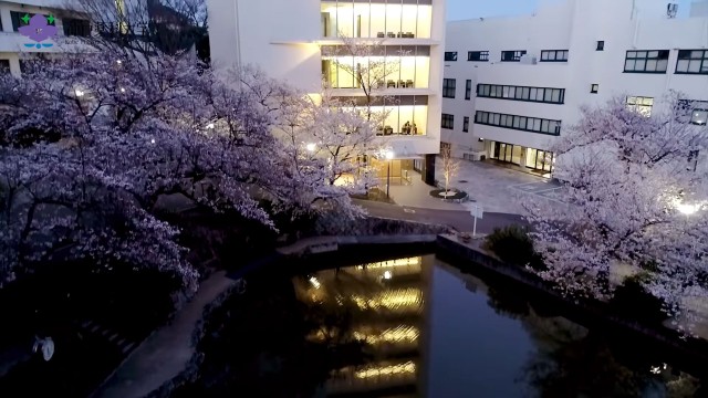 神戸薬科大学 ドローン空撮 大学PR動画