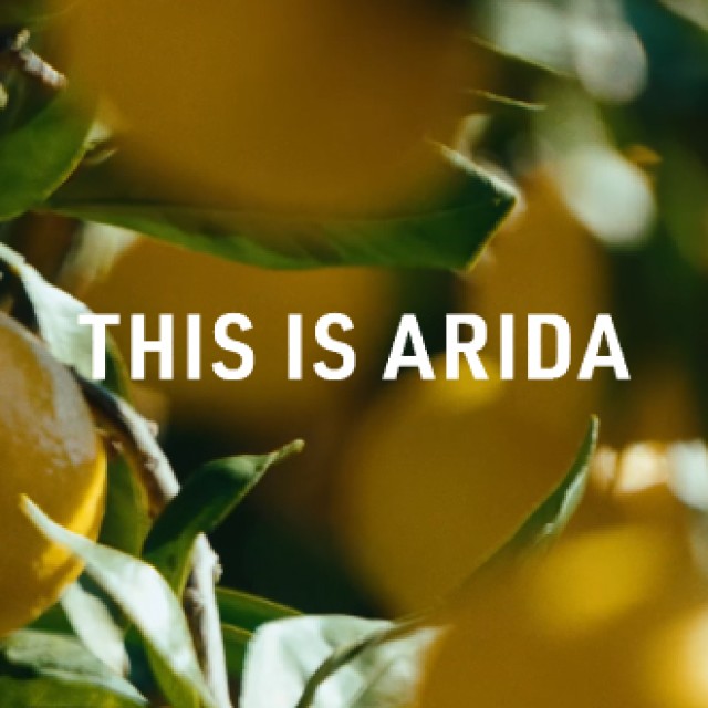 【THIS IS ARIDA】～そこで見た景色は～ みかん畑編（有田市）