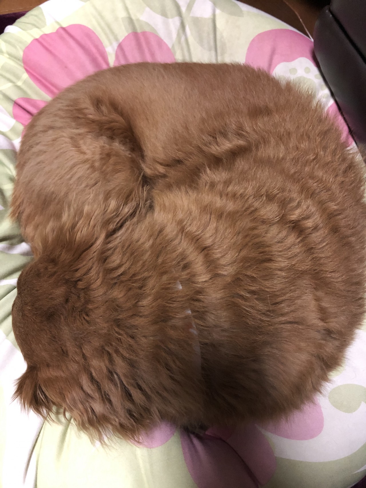 捨てられない物
