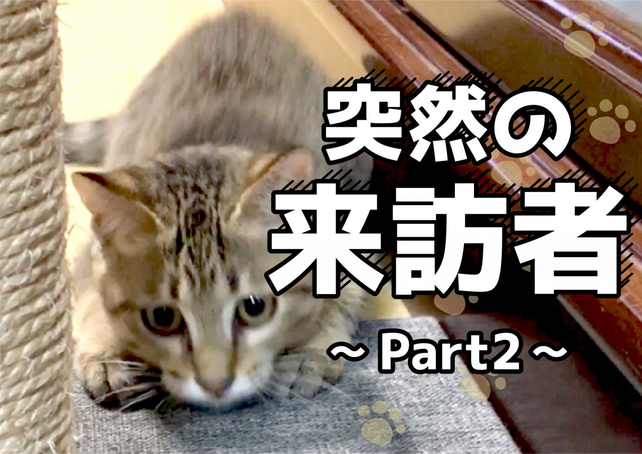 突然の来訪者 Part2