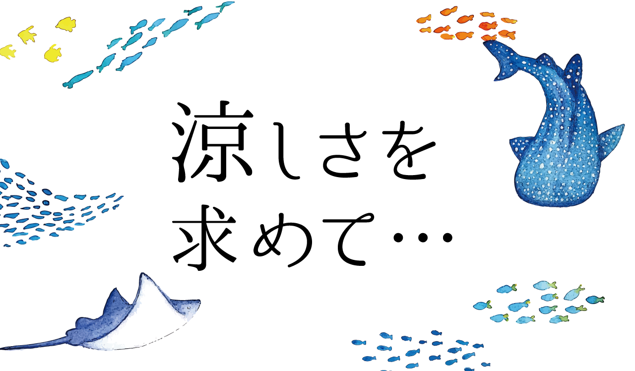 涼しさを求めて…