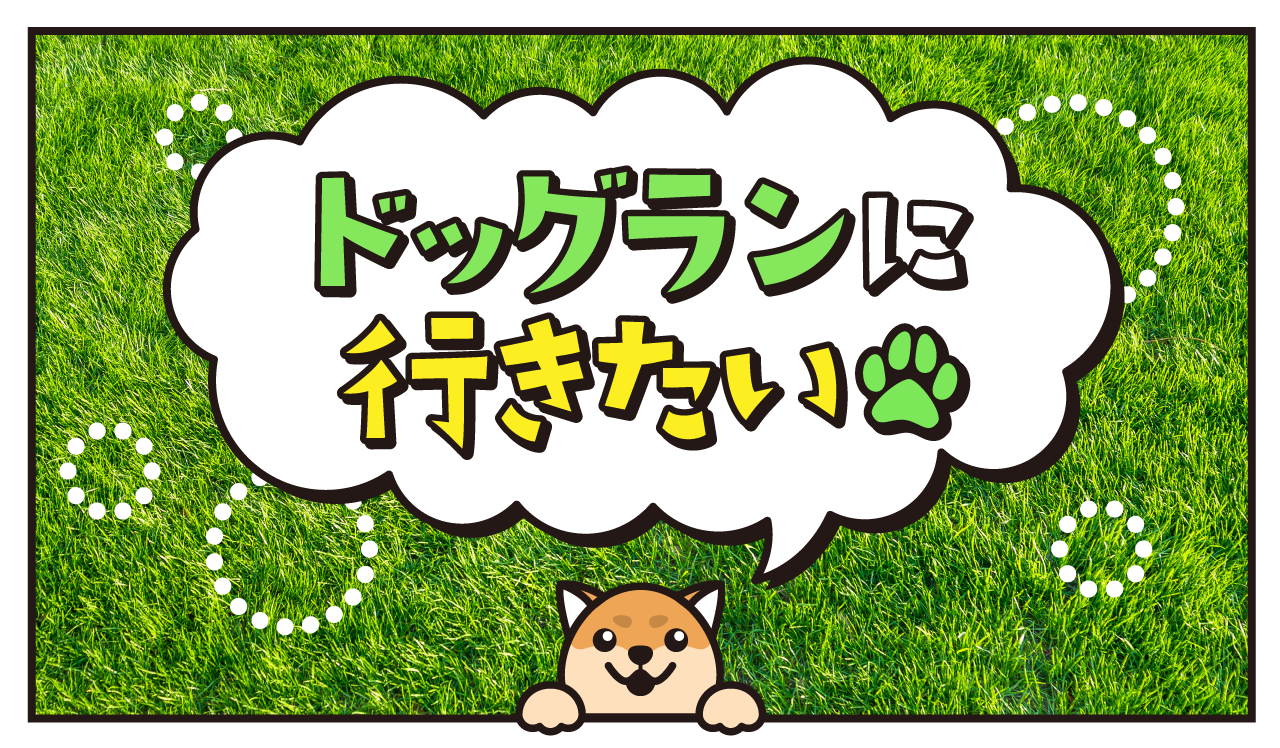 ドッグランに行きたい