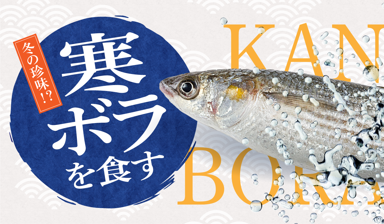 冬の珍味!?寒ボラを食す