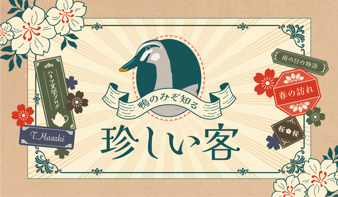 珍しい客