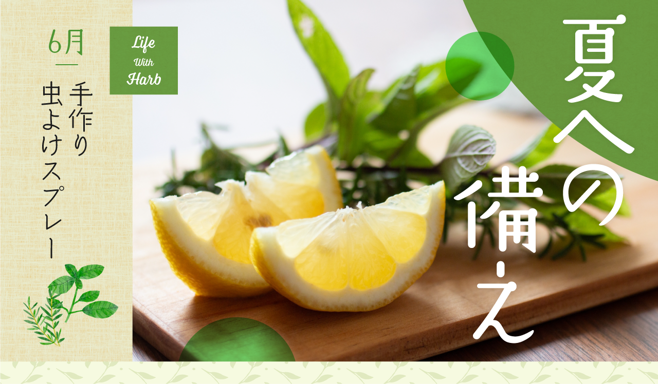 夏への備え