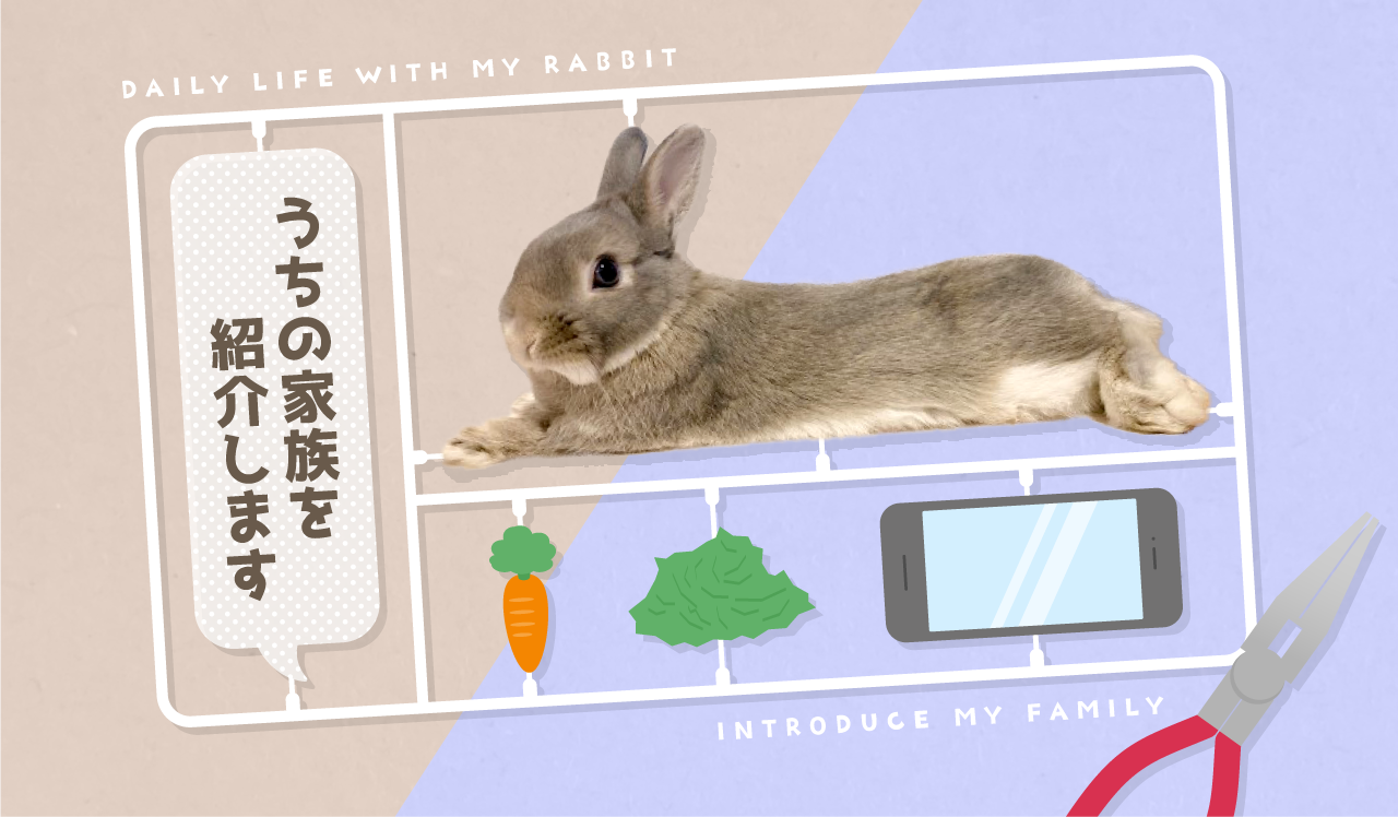 うちの家族を紹介します