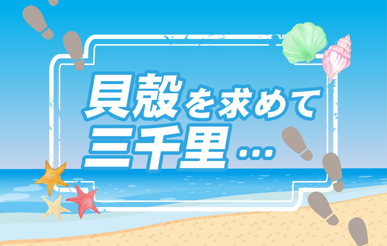 貝殻を求めて三千里…