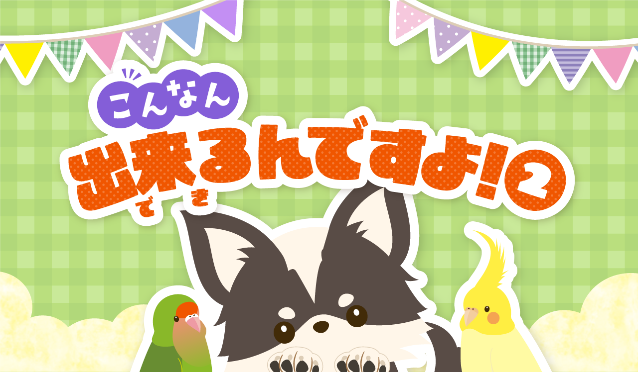 こんなん出来るんですよ!②