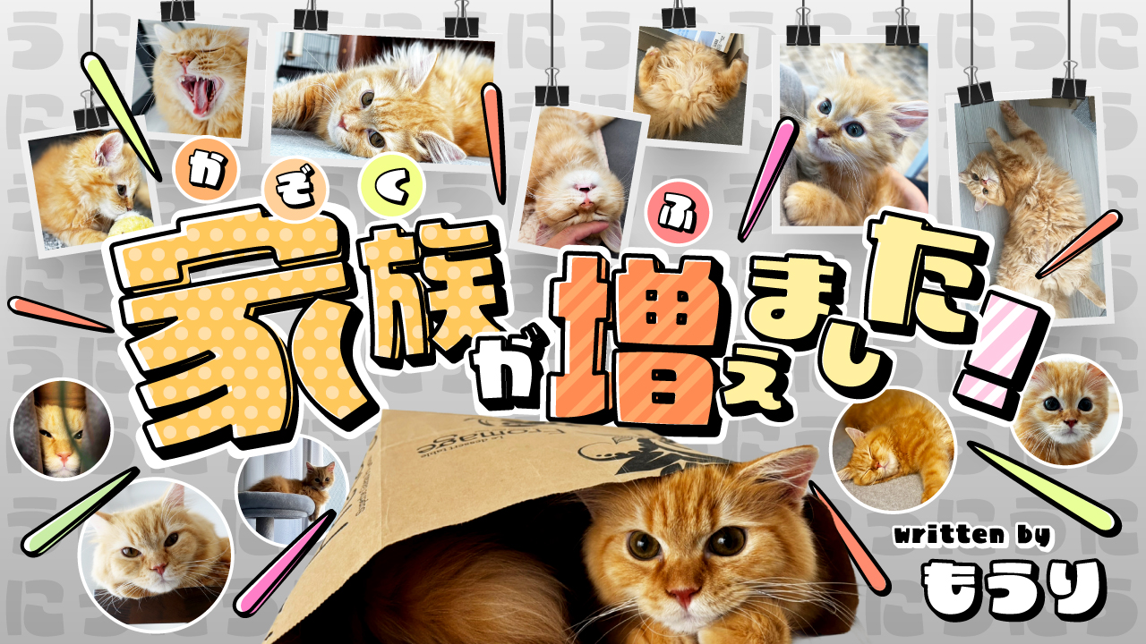 家族が増えました！