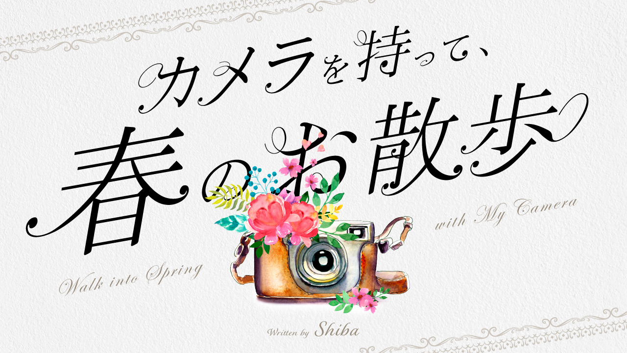カメラを持って、春のお散歩